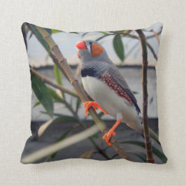 Zebra Finch Kissen