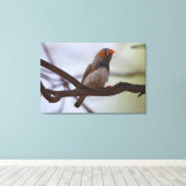 Zebra-Finch Leinwanddruck (Insitu (Holzboden))