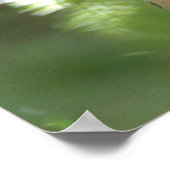 Zebra Finch Poster (Ecke)