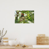 Zebra Finch Poster (Küche)