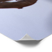 Zebra-Finch Poster (Ecke)