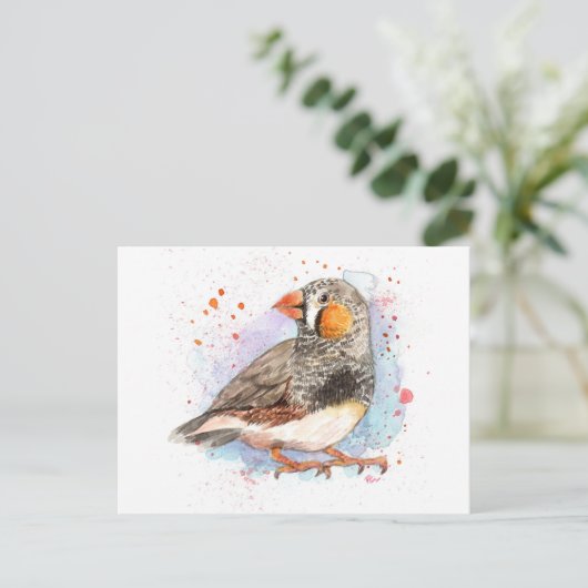 Zebra Finch Postkarte (Stehend Vorderseite)