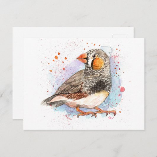 Zebra Finch Postkarte (Vorne/Hinten)