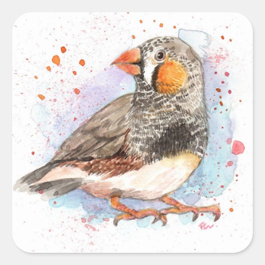 Zebra Finch Quadratischer Aufkleber (Vorderseite)