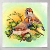 Zebra Finch realistisches Bild Poster (Vorne)