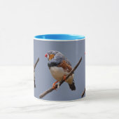Zebra Finch Tasse (Zentrum)