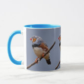 Zebra Finch Tasse (Links)