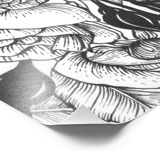 Zebra-Finch und Rose-Buschtinte zeichnend Fotodruck (Ecke)