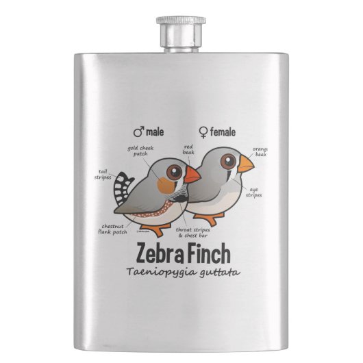 Zebra-Fink-Statistiken Flachmann (Vorderseite)