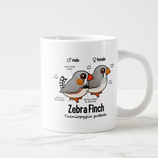 Zebra-Fink-Statistiken Jumbo-Tasse (Rechts)