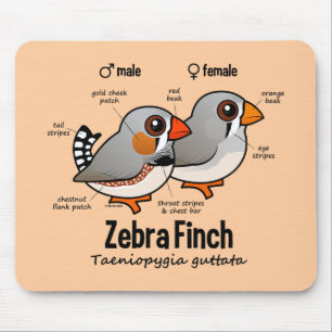 Zebra-Fink-Statistiken Mousepad