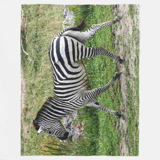 Zebra-Fleece-Decke Fleecedecke (Vorderseite)