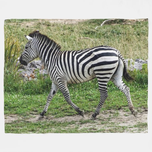 Zebra-Fleece-Decke Fleecedecke (Vorderseite (Horizontal))