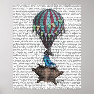 Zebra fliegen poster