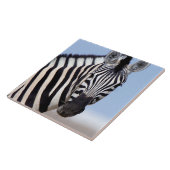 Zebra Fliese (Seite)