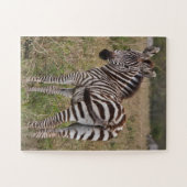 Zebra-flüchtiger Blick 30 Stück Puzzlespiel Puzzle (Horizontal)
