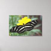 Zebra Flutterby Leinwanddruck (Vorderseite)