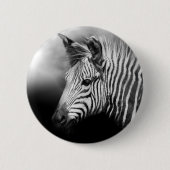 Zebra Foal Button (Vorderseite)