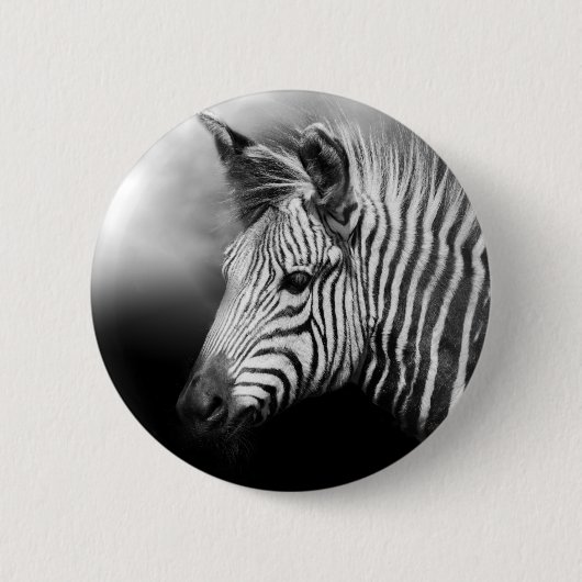 Zebra Foal Button (Vorderseite)