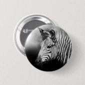 Zebra Foal Button (Vorne & Hinten)
