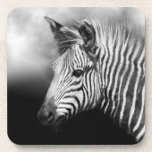 Zebra Foal Getränkeuntersetzer (Vorderseite)