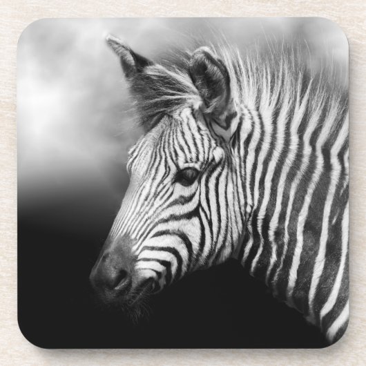 Zebra Foal Getränkeuntersetzer (Vorderseite)