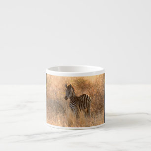 Zebra foal in Morgenlicht Espressotasse