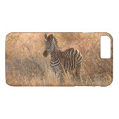 Zebra foal in morning light Case-Mate iPhone hülle (Rückseite (Horizontal))