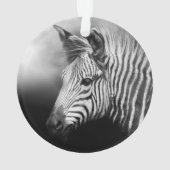 Zebra Foal Ornament (Rückseite)