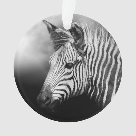 Zebra Foal Ornament (Vorderseite)