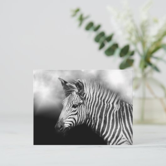 Zebra Foal Postkarte (Stehend Vorderseite)
