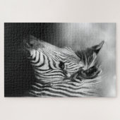 Zebra Foal Puzzle (Horizontal)