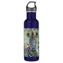 ZEBRA FOAL STAINLESS STAHLWASSERFLASCHE