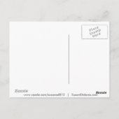 Zebra Foal und Mutter Postkarte (Rückseite)
