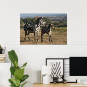 Zebra Foal und Mutterposter Poster (Heimbüro)