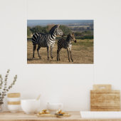 Zebra Foal und Mutterposter Poster (Küche)