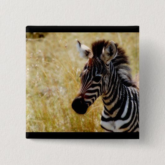 Zebra-Fohlentierbaby Button (Vorderseite)
