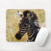 Zebra-Fohlenwild lebende tiere mousepads (Mit Mouse)