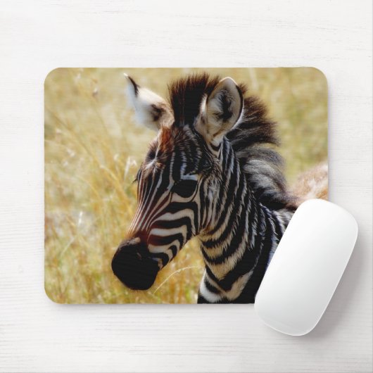 Zebra-Fohlenwild lebende tiere mousepads (Mit Mouse)