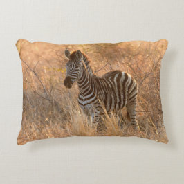 Zebra foto in Morgensonnenaufgang Foto Dekokissen