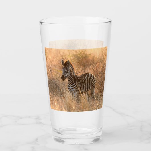 Zebra foto in Morgensonnenaufgang Foto Glas (Vorderseite)