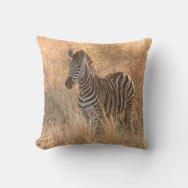 Zebra foto in Morgensonnenaufgang Foto Kissen