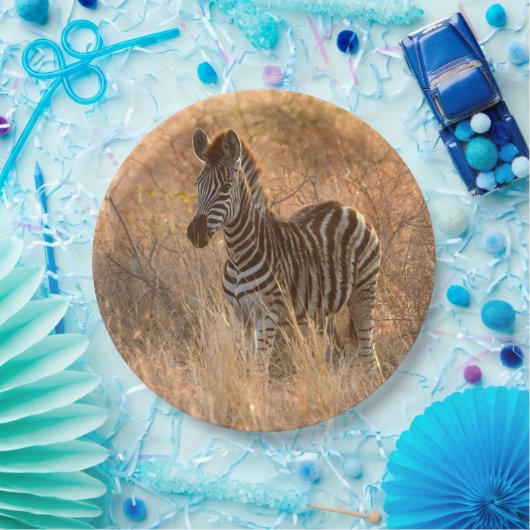 Zebra foto in Morgensonnenaufgang Foto Pappteller (Party)