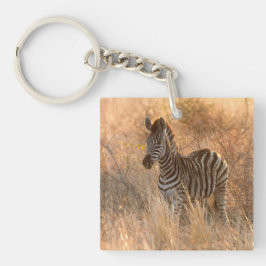 Zebra foto in Morgensonnenaufgang Foto Schlüsselanhänger