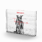 zebra fotoblock (Rechts)