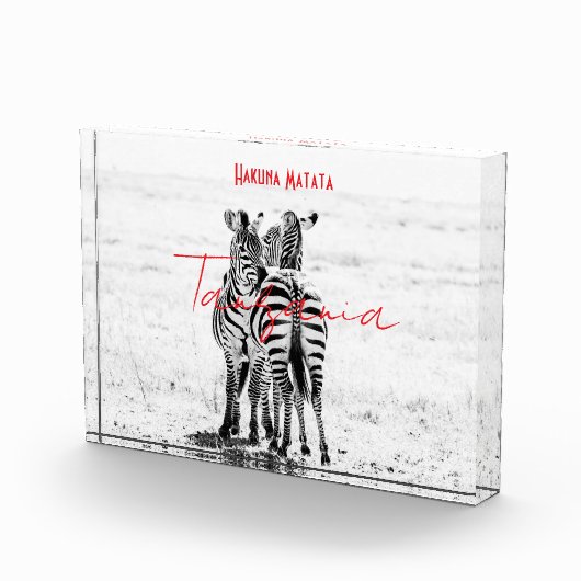 zebra fotoblock (Rechts)