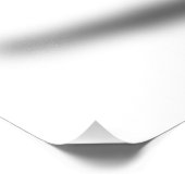 ZEBRA FOTODRUCK (Ecke)