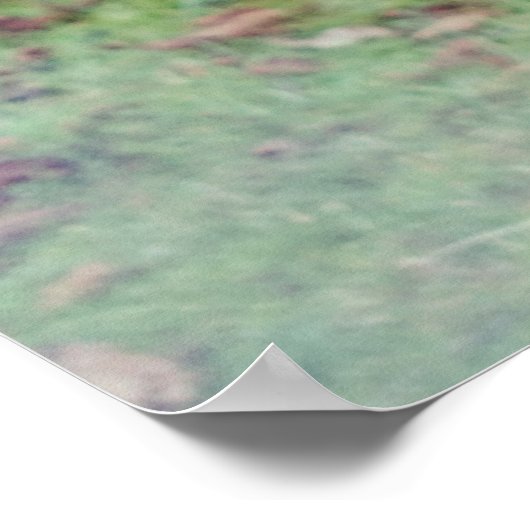 Zebra Fotografie Poster (Ecke)