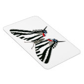 Zebra Frack Butterfly Flexi Magnet (Rechte Seite)
