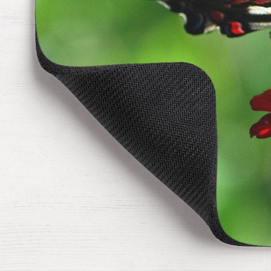 Zebra Frack Butterfly Mousepad (Ecke)